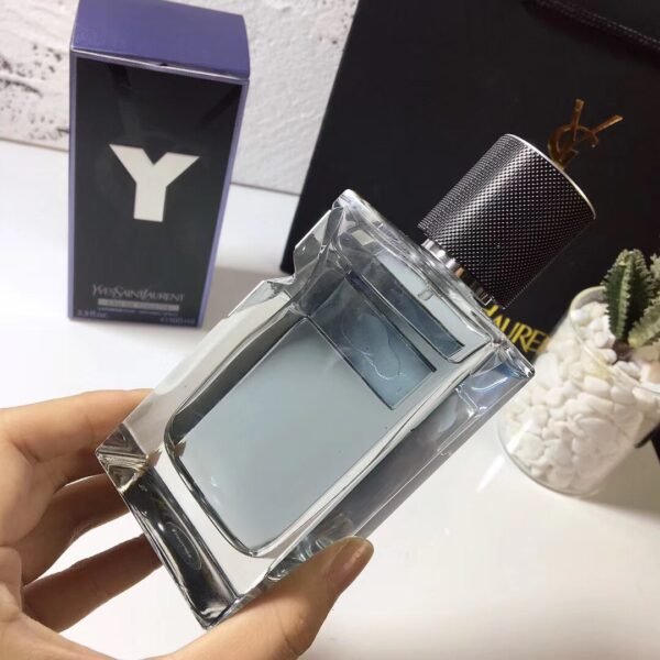 Yves Saint Laurent Y Men100ml